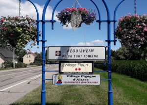 Fleurissement à Réguisheim