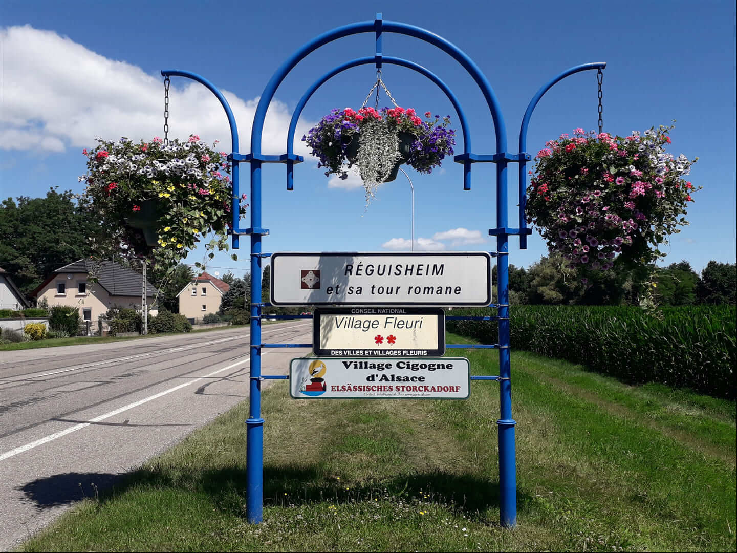 Fleurissement de l'entrée de Réguisheim