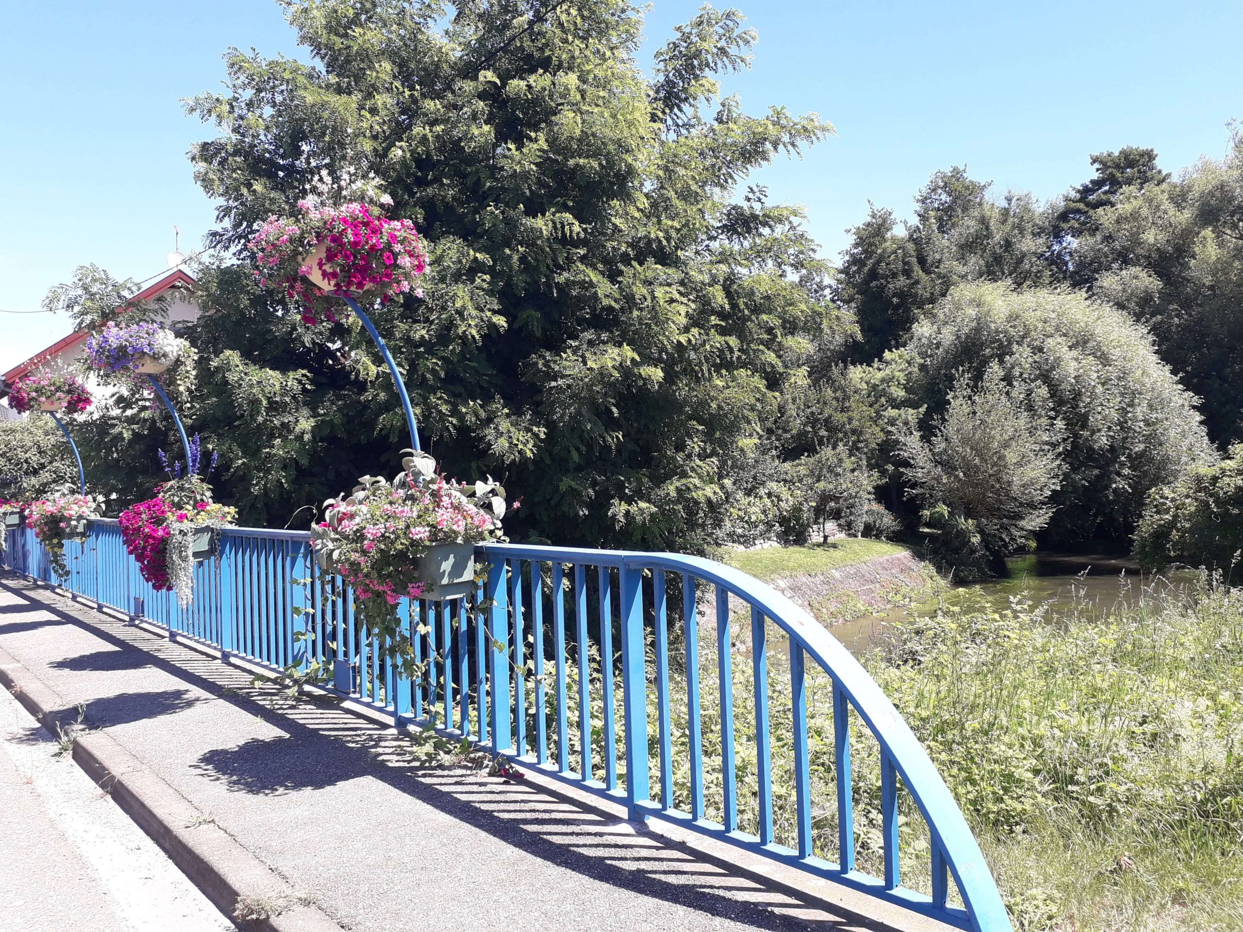 Fleurissement du pont de Réguisheim