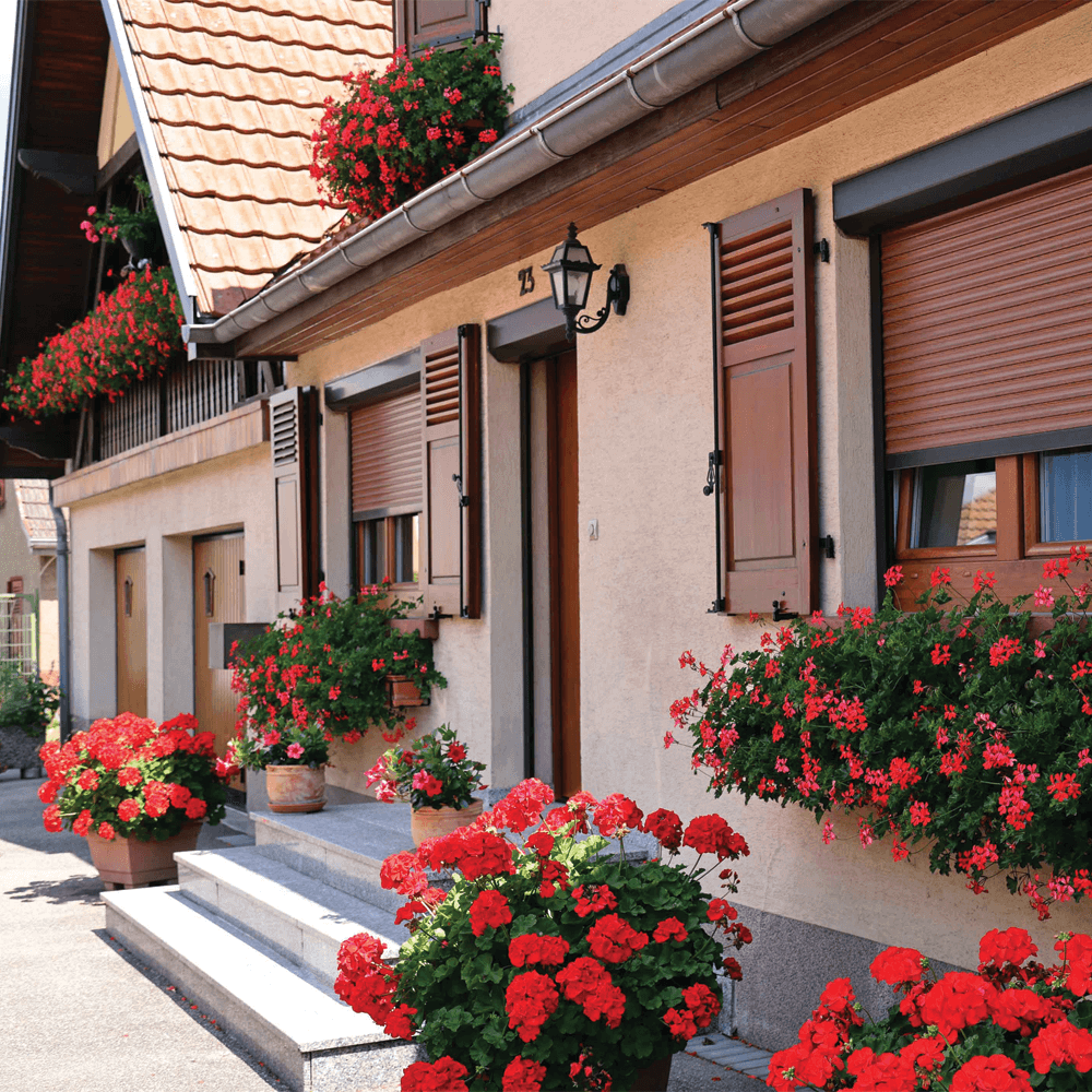 maisons fleuries 2021 - Catégorie 2 (Maison avec balcon ou terrasse) 1ier M. et Mme André MININGER