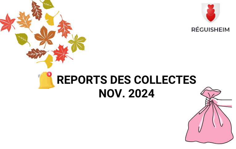 report collecte des déchets novembre 2024