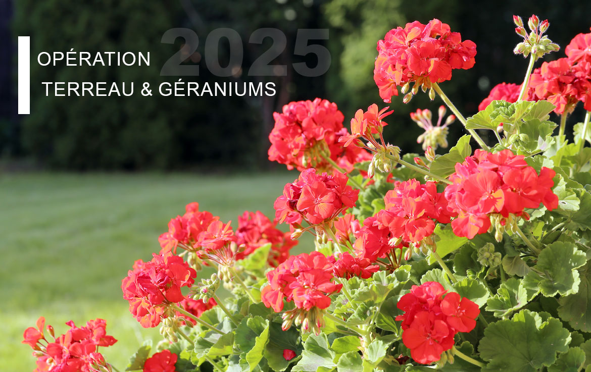Opération géranium et terreau 2025